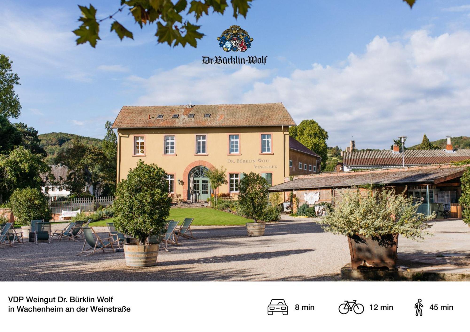 Privates Ferienhaus Mit Pool & Whirlpool Zentral In Bad Dürkheim Buitenkant foto